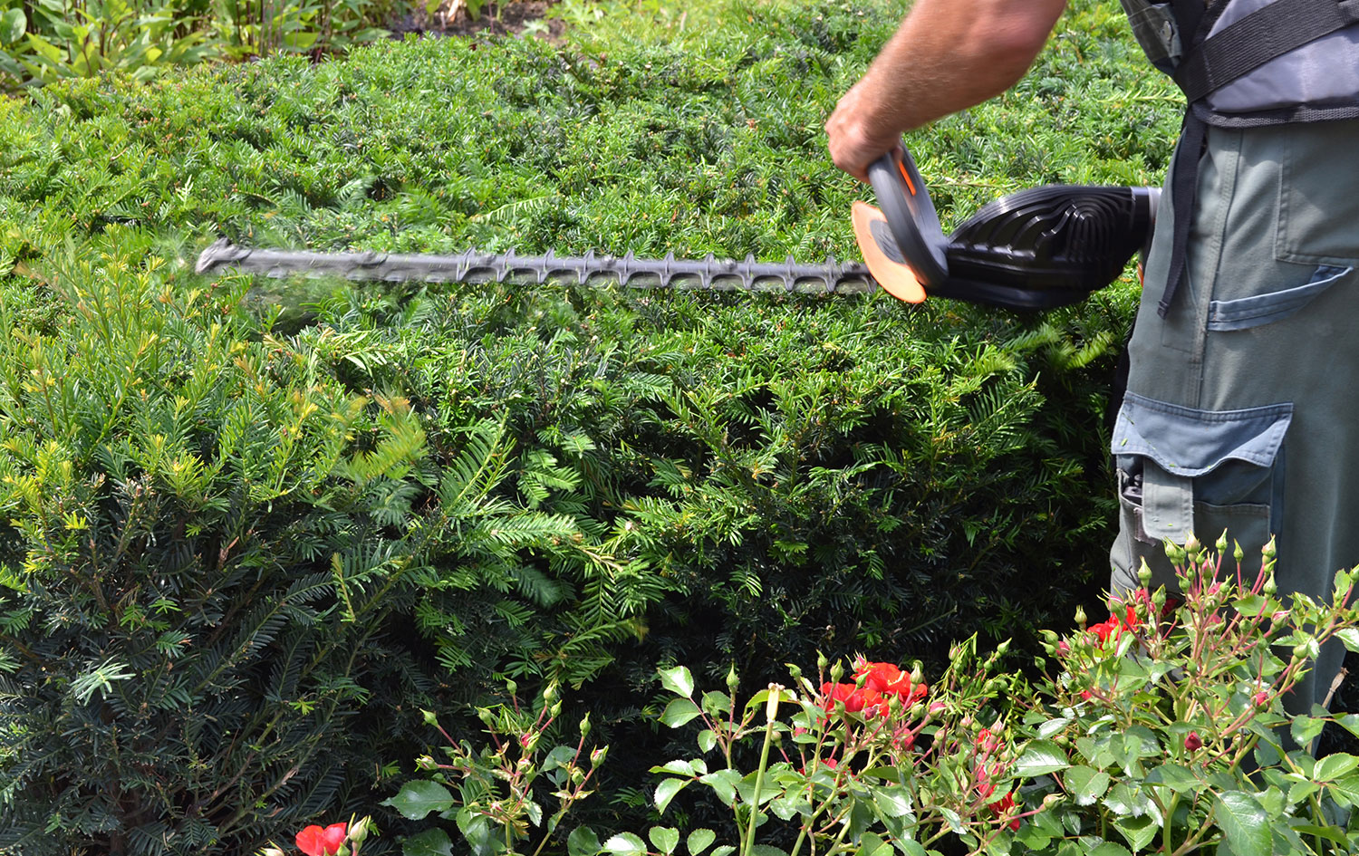 Progettazione giardini a Busto Arsizio e limitrofi