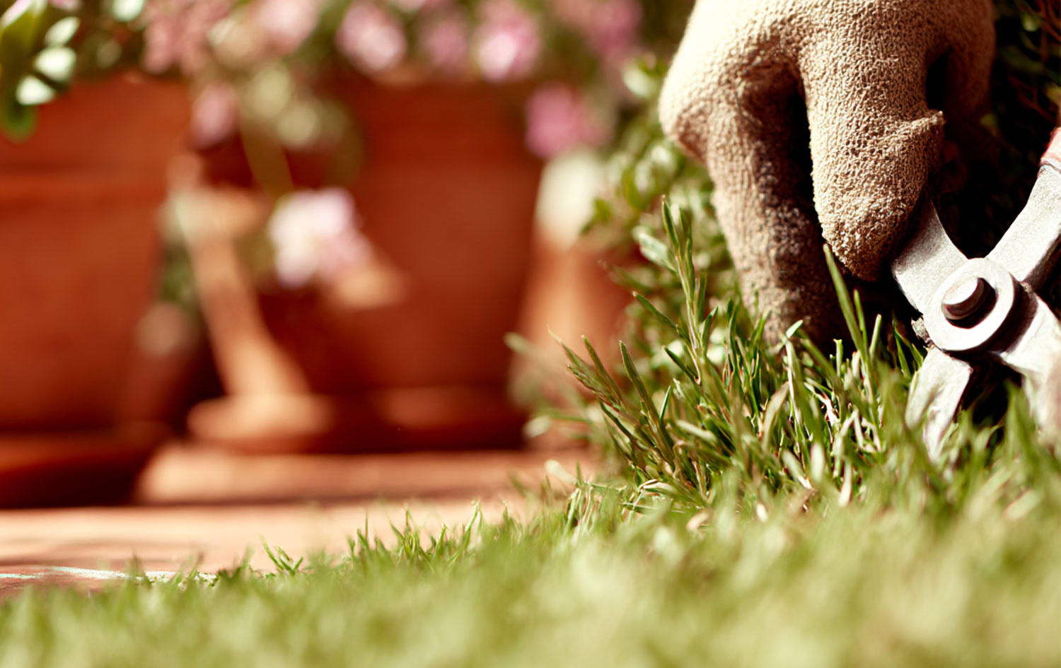Manutenzione giardini e terrazzi a marzo e aprile